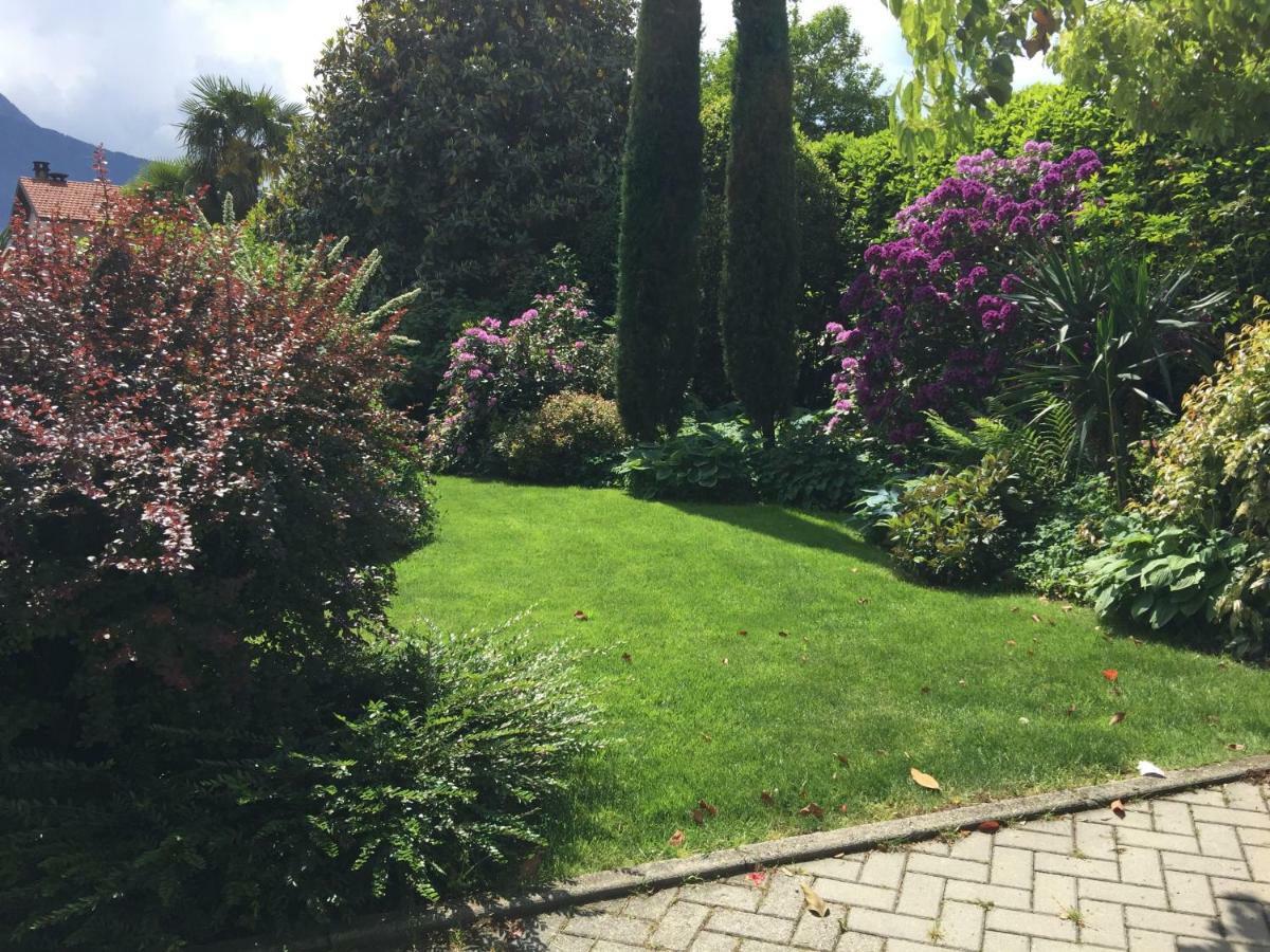Iris 2 Lago Di Como Dongo Exterior photo